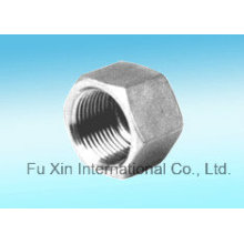 Stainless Steel Fittings Hex Cap (Hexagon Cap Pipe Fitting Cap)